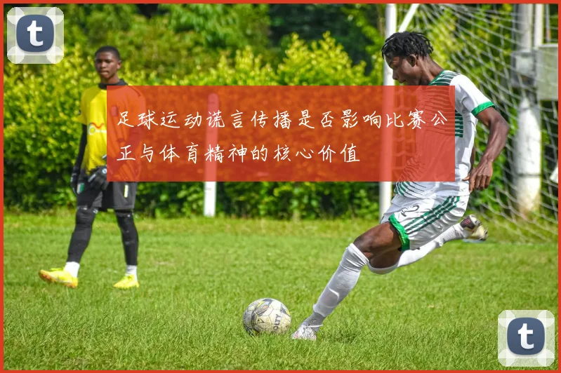 足球运动谎言传播是否影响比赛公正与体育精神的核心价值