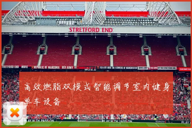 高效燃脂双模式智能调节室内健身单车设备