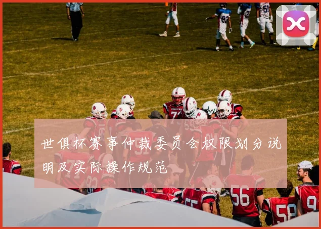 世俱杯赛事仲裁委员会权限划分说明及实际操作规范