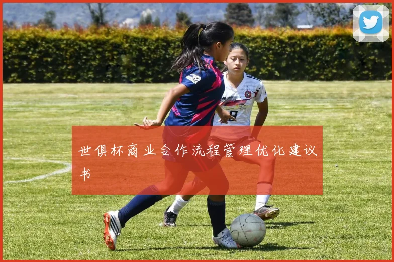 世俱杯商业合作流程管理优化建议书