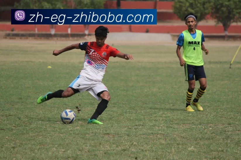 多媒体互动体验